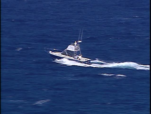 The Net Movie Boat The Net Movie Boat